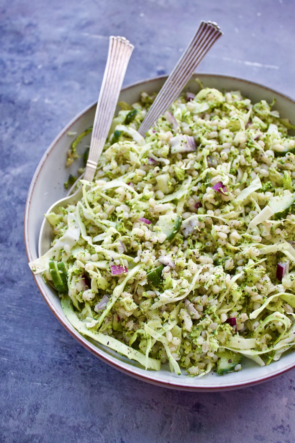 sjældenhed Klappe Highland Grøn salat med perlebyg og broccoli - Nemt tilbehør til aftensmaden